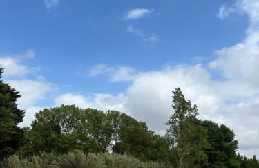 Santuário SOS Animal - Foto 35