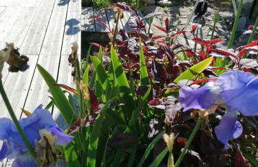 Villa "Keryoc'h" - Foto 10