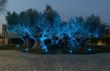 Appartamento Aria di Mare - Foto 27