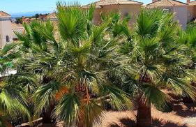 Apartamento de Inés Las Carolinas - Foto 21