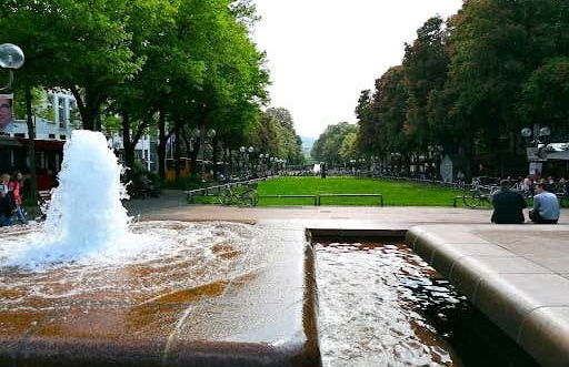 Tour in Bonn - Foto 7