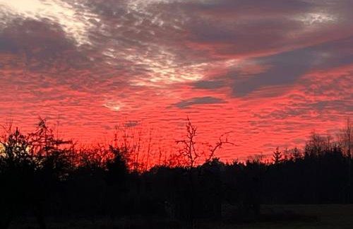 Domek wypoczynkowy Letnisko Sosenkowo - Foto 43