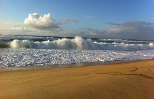 Appartement 2/3 personnes à 10 minutes de Contis plage (Saint Julien en Born) - Foto 27