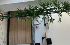 Suites 5* Lahcene - Foto 44