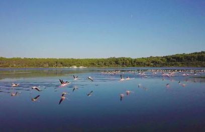 Maison de pecheur - Foto 69