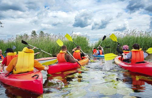 Ferienwohnung Elfriede - WLAN, 2 Bäder, Küche, Freisitz, 2 Parkplätze, im Ortskern - Foto 41