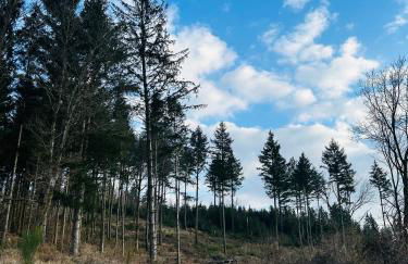 Ferienwohnung Theodor - Wandern am Biggesee - Foto 37