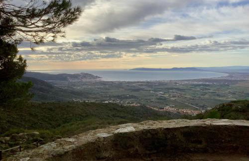 FONOLL MARÍ - ROSES FAR - Photo 13