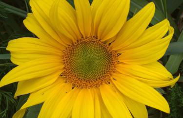 Pousada Chalé na Roça Penedo - Photo 33