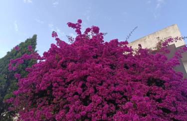 Residence Piazzetta a Mare - Photo 24