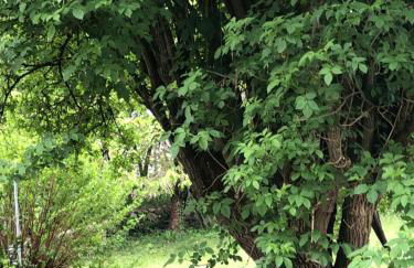 Condrieu et parking voiture vélo 2 ème étage - Foto 57