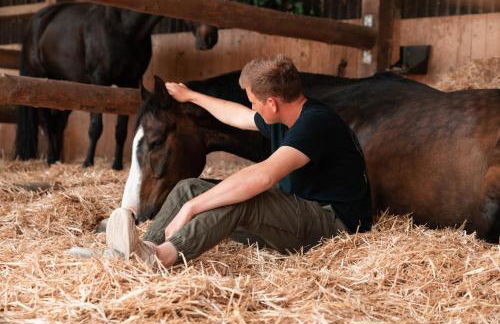 Urlaubsreiterhof Trunk - Foto 16