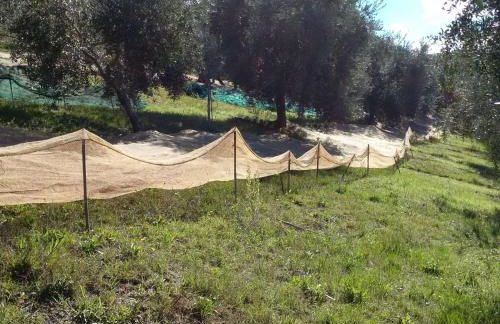 PODERE TORRICELLE 69B Pancole Gr, seaview infinity pool, jacuzzi, sauna, exclusive villa with 2 bedrooms for 4 - If you total 5 or 6 people there is an independent suite in main villa with private ensuite bathroom, kitchenette and garden dining area - Foto 71