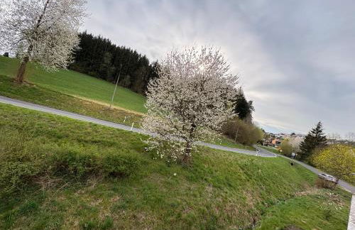 Pine Retreat - near Rußweiher - Foto 5