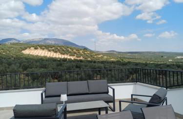 Casita of Casa Olivar - Photo 6