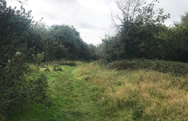 Studio/lickey Hills/near Attractions/garden/petok - Foto 13