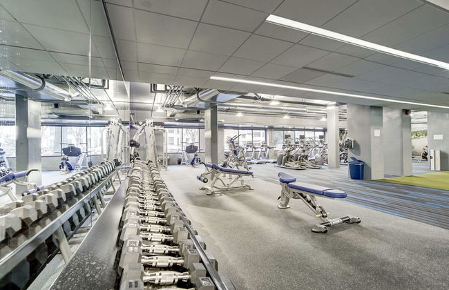 Stylish Comfort Condo in Crystal City - Photo 36