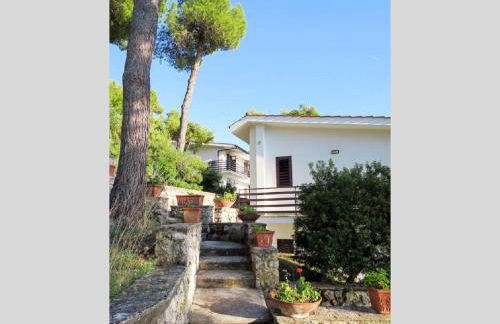 Casa Vacanza Kair Trilo 262 - Foto 24