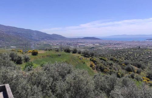 Admonis - Home in the olive grove - Foto 22