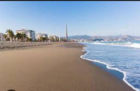 Lofts Brisa Mar - Photo 19