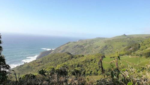 Casa do Roberto - Foto 4