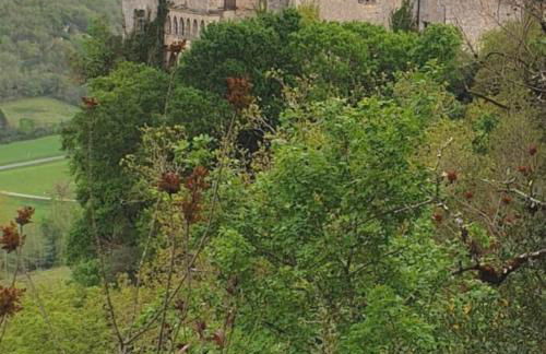 Maison au bord de la rivière Aveyron - Bruniquel - Foto 30