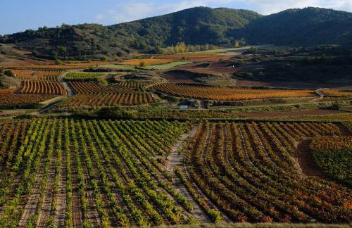 Vía Nájera - Foto 16