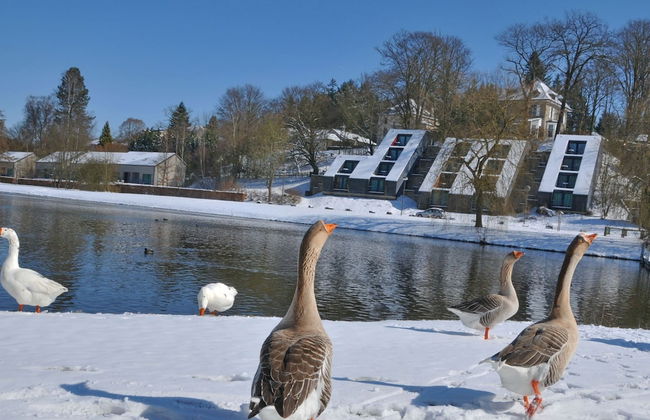 Holiday Home in Vielsalm With Lake View - Foto 30