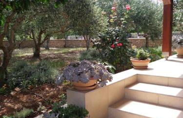 Apartments IDA Sucuraj - Foto 7