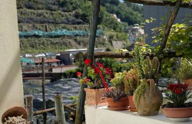 Limoneto di Anna - Foto 20