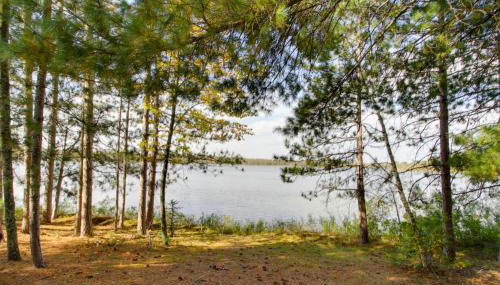 Quiet Deer River Cabin with Dock and Lake View! - Foto 2