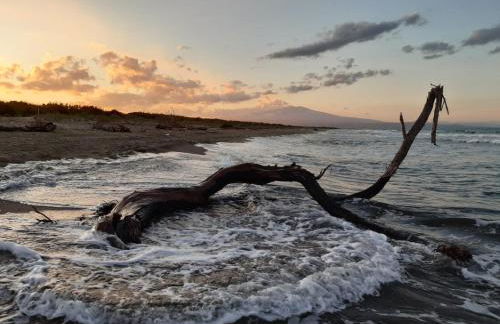 Villa Biniritta - Foto 56