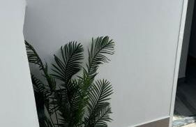 El soberano - Foto 18