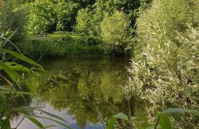 Gîte Les Marlières - Foto 12
