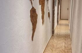 Calle Ingeniero Canales N 14, 2 Izq 03013 - Photo 6