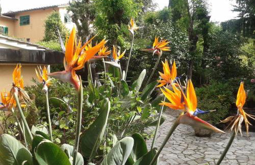 Residence Casprini da Omero - Foto 36