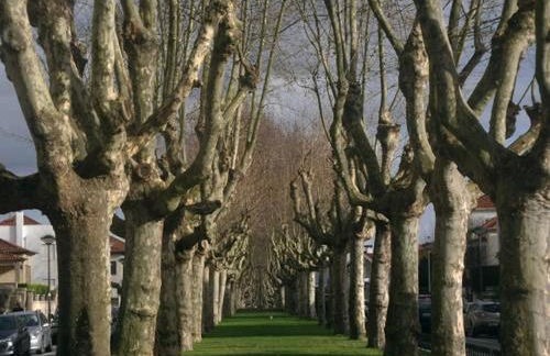 Rendez Vous Porto II - Photo 40