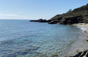 T2 VUE MER CORSE N193 - Foto 13