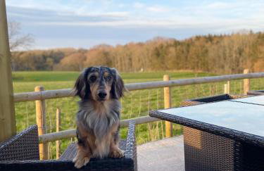 Luxury Boutique retreat, hot tub, dog friendly - Foto 76