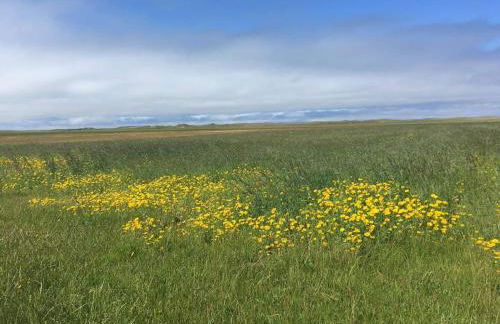 Berneray Otter Cottage - Foto 30