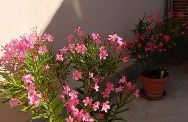 Appartement au cœur de la Petite Cité de Caractère - Foto 17