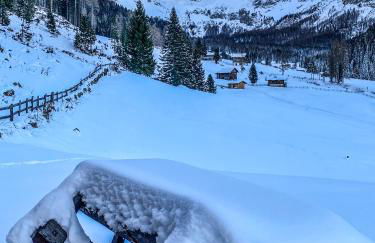 Cesa Bernard - Apartment Cima 12 e new Apartment Fraine - Foto 46