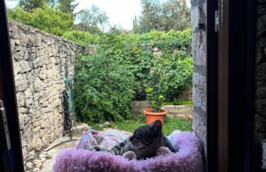 Masiadenjust - Foto 25