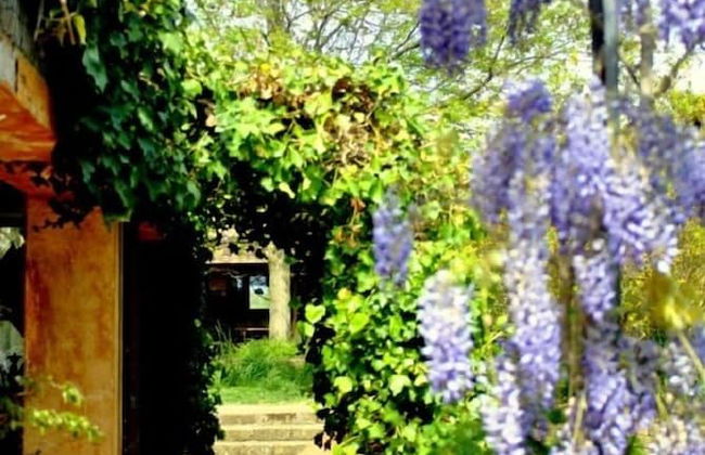 Agriturismo Solidor - Foto 27