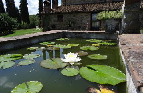 Podere Pievina Delle Corti - Dimora di Campagna - Photo 73