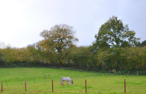 Apple Cottage - Foto 11