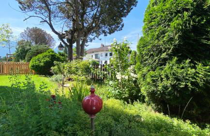 PeThe`s No 1 - Foto 28