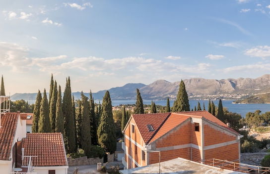 Villa Voinić - Foto 71