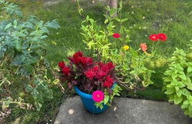 Little house in the alley - Foto 23