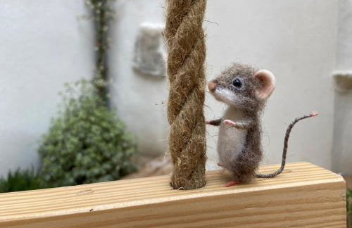 Lily l'Acrobate Aubagne-Cassis-Aix en Provence - Foto 36